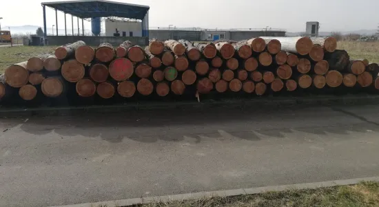 6a8bbdee24a525890b2db1315ce9ce8a