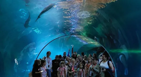 zdjecie sp braszowice 