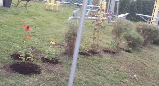 73f69ef7d350399c834cda24ee8e4bab