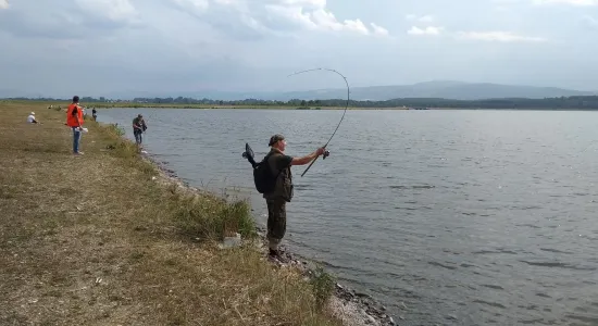 74aa17c498a65c93da7fa448569f2a15