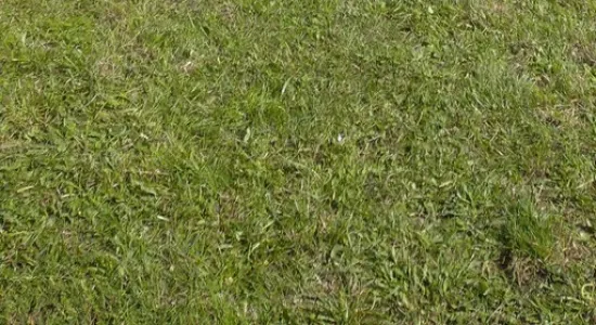 7b125b0eef5c39dd6f208caade2e5a96