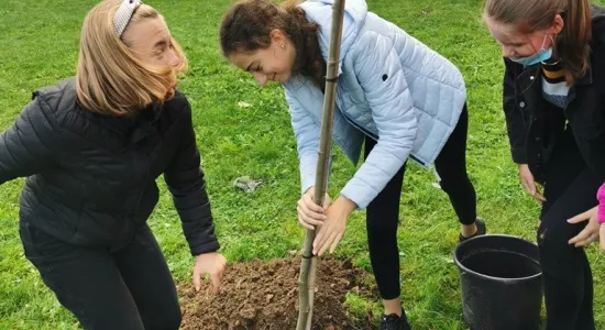 7c077bf1b28ac1ff073b9345ae5a3591