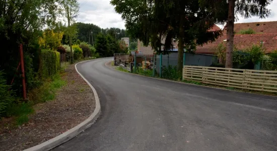  DSC233