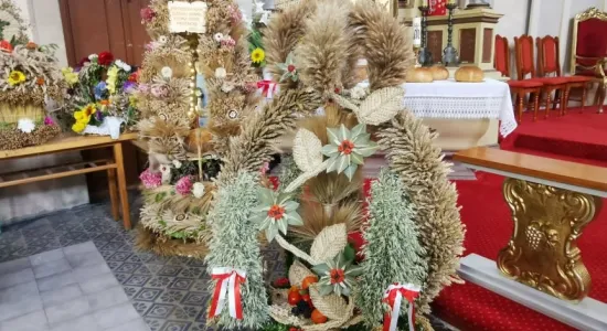 241021241 1838078379707857 838796033615154120 