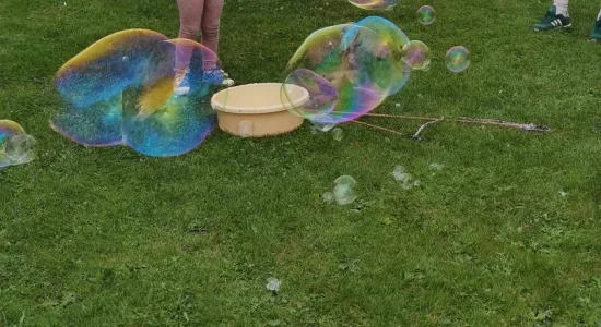 87e07984dca1979918ed1b5fa383b7bd