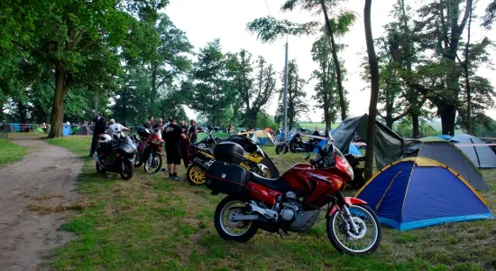  DSC910