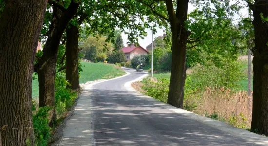  DSC980