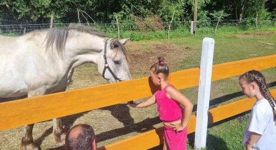 WYCIECZKA DO GRODU RYCERSKIEG