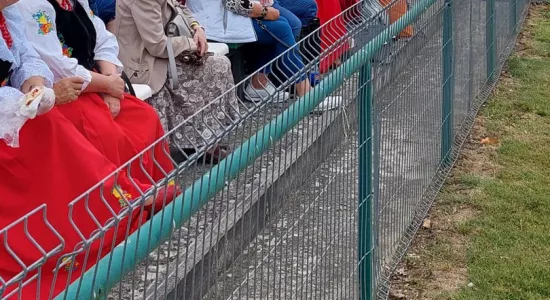 450164450 1501630683817973 8416688559605755735 