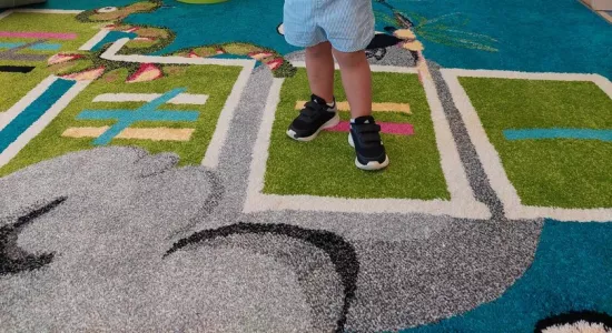 8d456382f41b52e8bde86d41db0ee7be