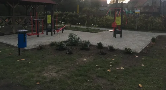 IMG 20191029 08305