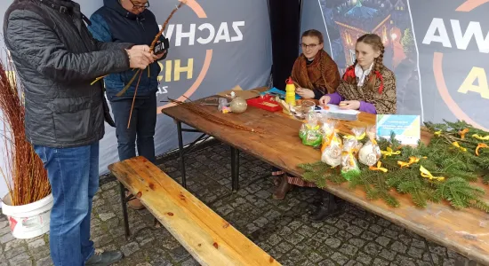 8e3c9941c27c2dff92a1dca11b126043