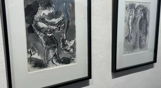 95c175a15a98936b9d348e809e754956