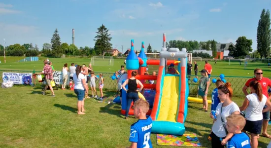  DSC208