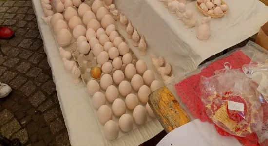 433423016 964798315208495 2187763262993567921 