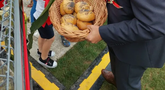 9deb823ecba416131d6b511c3030dcaa