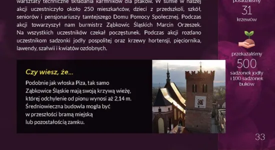 czyste zielone miasta okładk