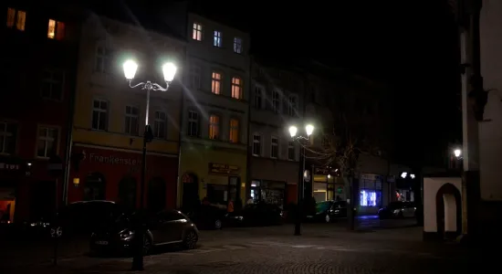  DSC480