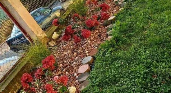 242699316 4741748419176865 2662921849229917983 n (002