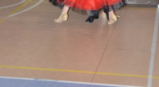  DSC421