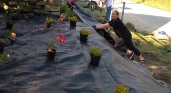 a34c77df54849bf7a373b2444530999e