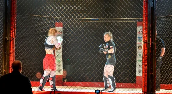 DSC713
