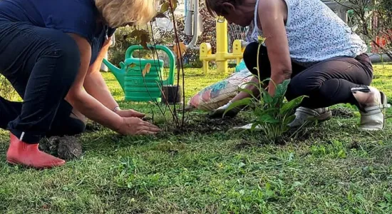 a6e8bb0e6a961fdb43f9b6cfcf50f071