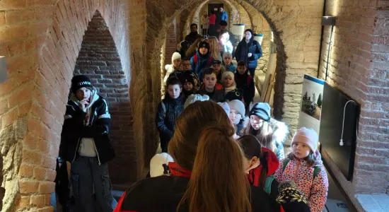 ac9d7f15bc6e05ce27763fd489f24628