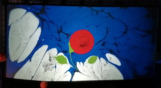10 (002