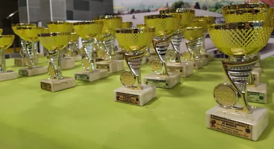 b0af84512210a8cd9e8868b26ba24c95