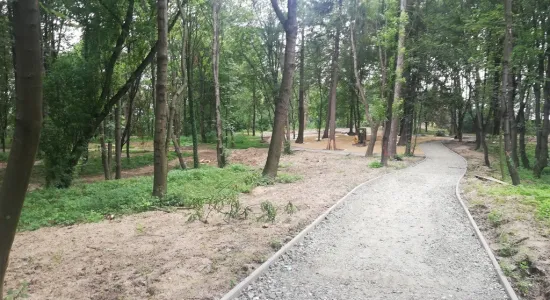 IMG 20200706 11133