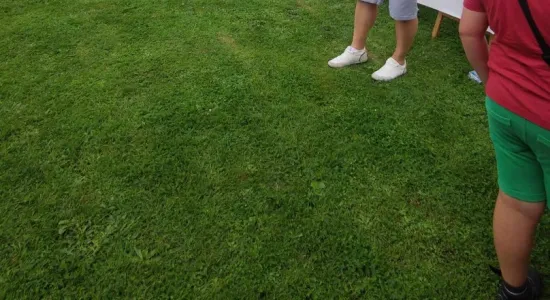 b708168ead9c8e7c56b2067fa8c77e0d