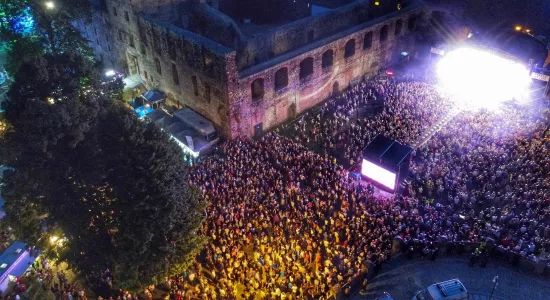 450812290 891813846311331 3739041992235470921 