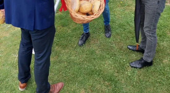 bb84f656acf7ca51db8ad396a7dad5d0