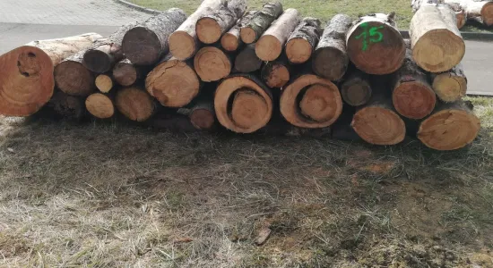 be0e110f8b96b1dd31cf5ad0c608c8ac