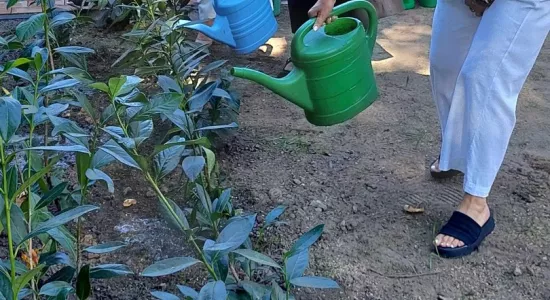 be7e811bbc69b647981a7469814bc8ff