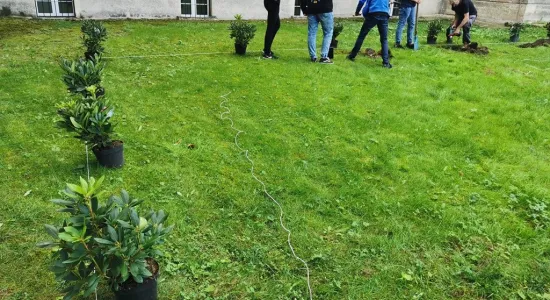 c4b22f71906d330be9f50b4353224e01