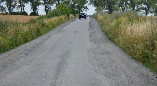  DSC218
