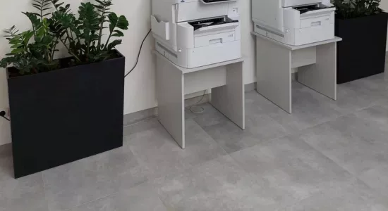 457352641 1871479250021441 703909741858226273 