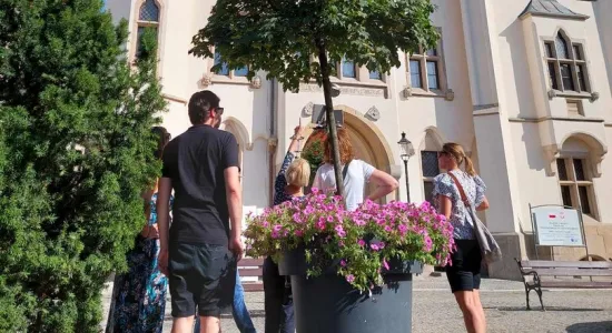 376370842 204324642655123 6949564026248106974 