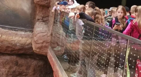ZOO2 (002