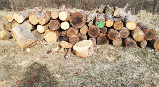 cebca1f655aeb54c8f0c71b395ab5bcb