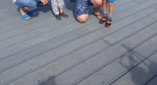 67065921 643430829511294 5357555845846532096 