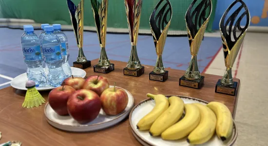 d05bd1083bf4b0e6b807ef0729efcb3d