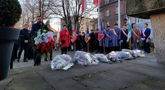 256495724 2049556651859372 921183551015358453 