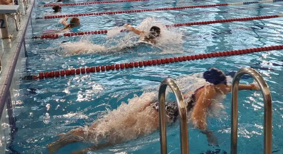 d2a0d7e5d397ea9f2ebc5de7b5d9966b