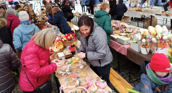 d50c0198a366559a9ab04098e5b00a11