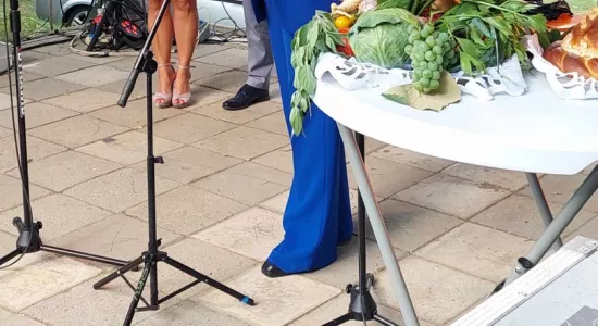 455066820 775929304508367 3125405775316666851 