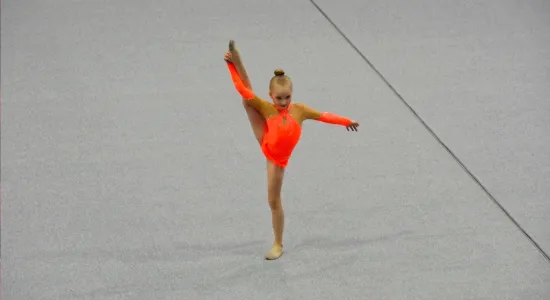  DSC811