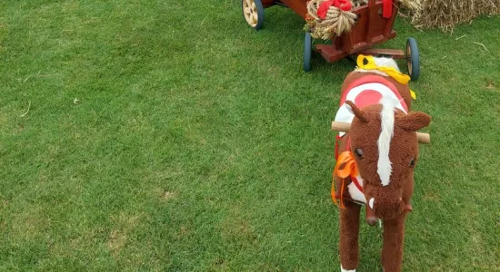 ddfa578b674cf9142dd0ae9f2a84c63c